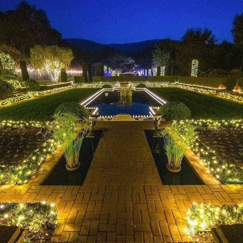 50L 5mm LED Light String, 8in Bulb Spacing - Image 3