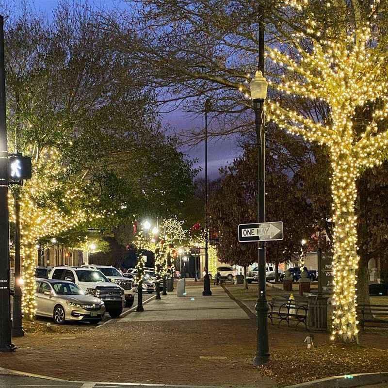 50L 7mm LED Alternate Spacing Light String, 6/8in Bulb Spacing - Image 3