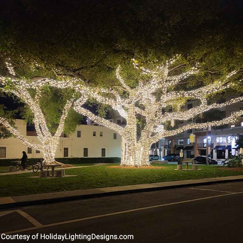 50L 7mm LED Expandable Light String, 4-6in Bulb Spacing - Image 3