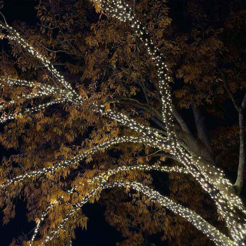 70L 5mm LED Alternate Spacing Light String, 4/6in Bulb Spacing - Image 3