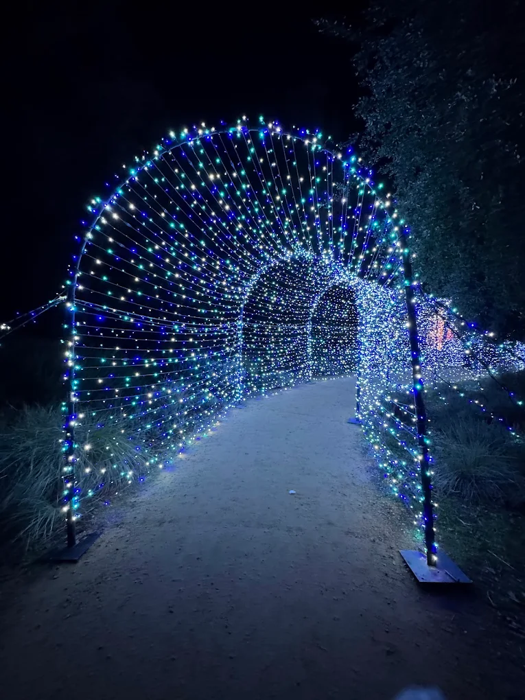 Simple Archway Frames - Image 4