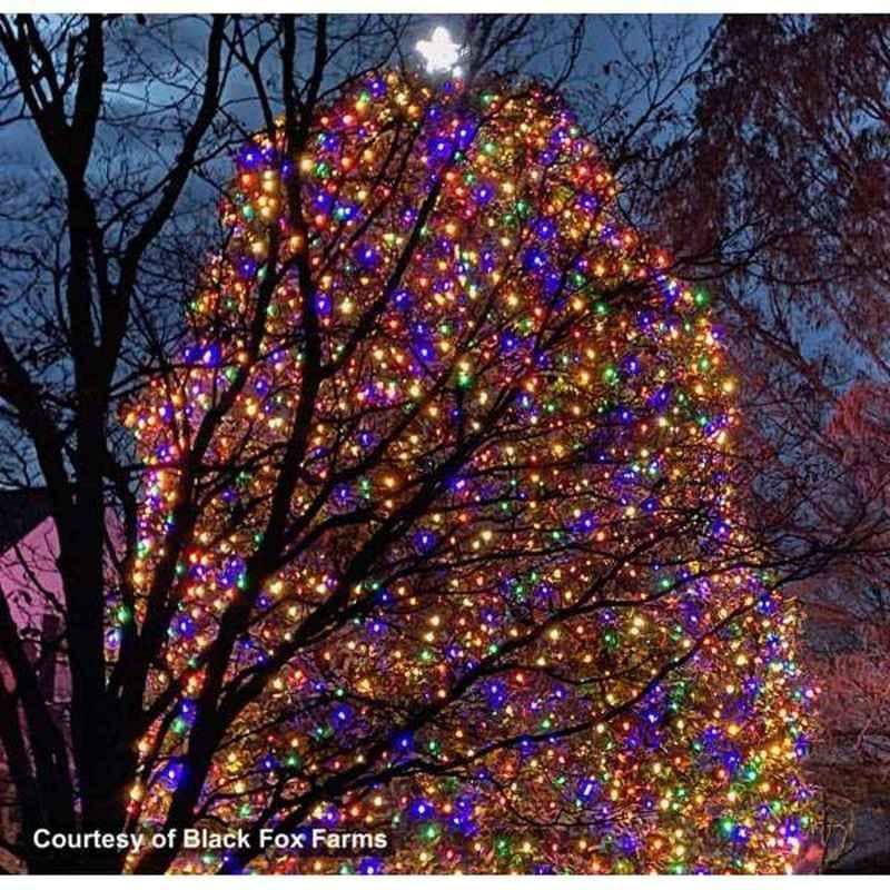 C9 LED Opaque Bulb, E17 Base - Image 4