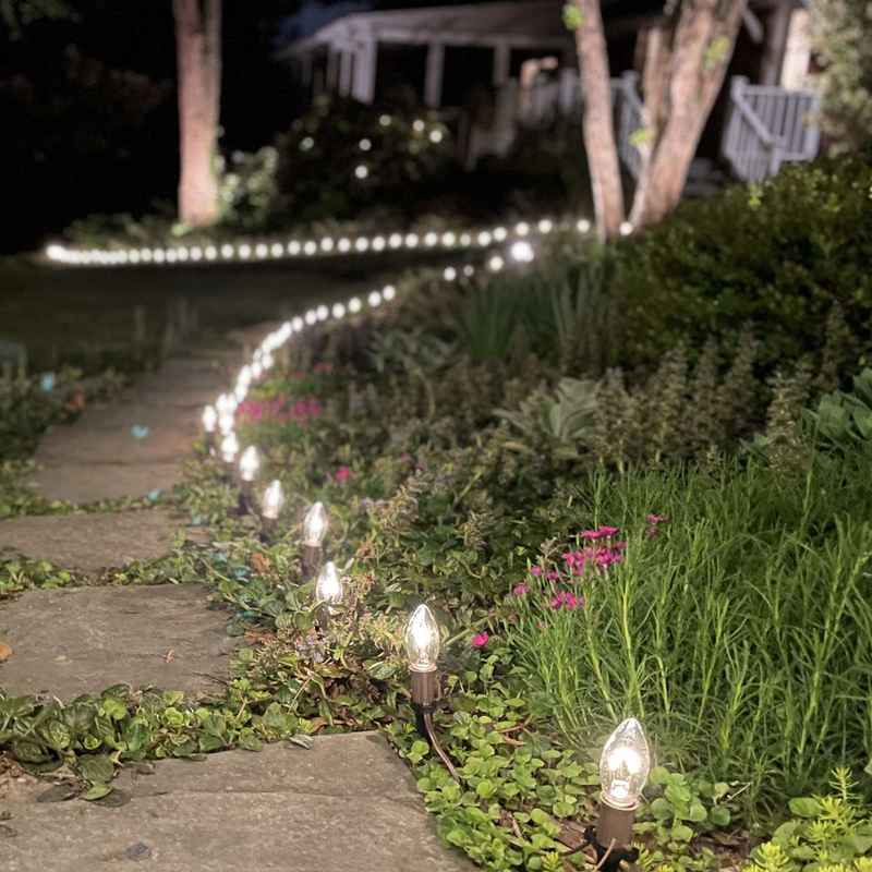 C9 LED Vintage Bulb, E17 Base - Image 3