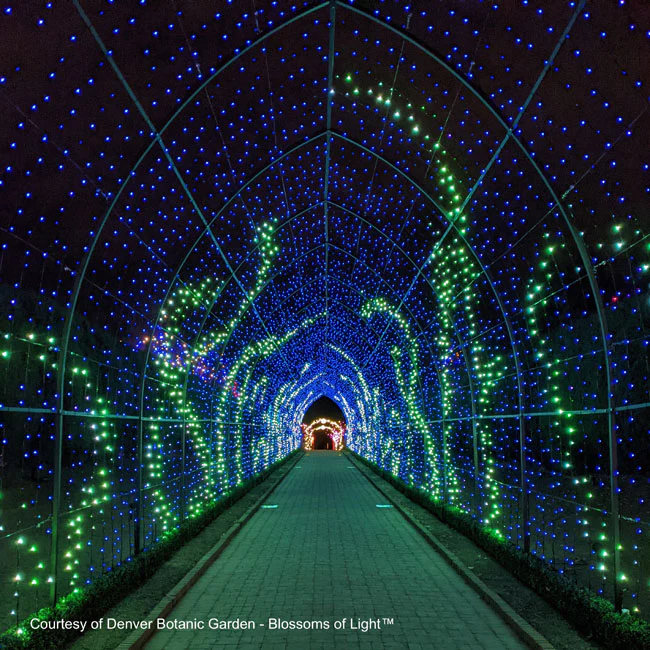 Cathedral Tunnel Structures - Image 3