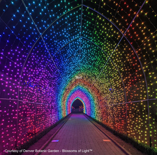 Cathedral Tunnel Structures - Image 4