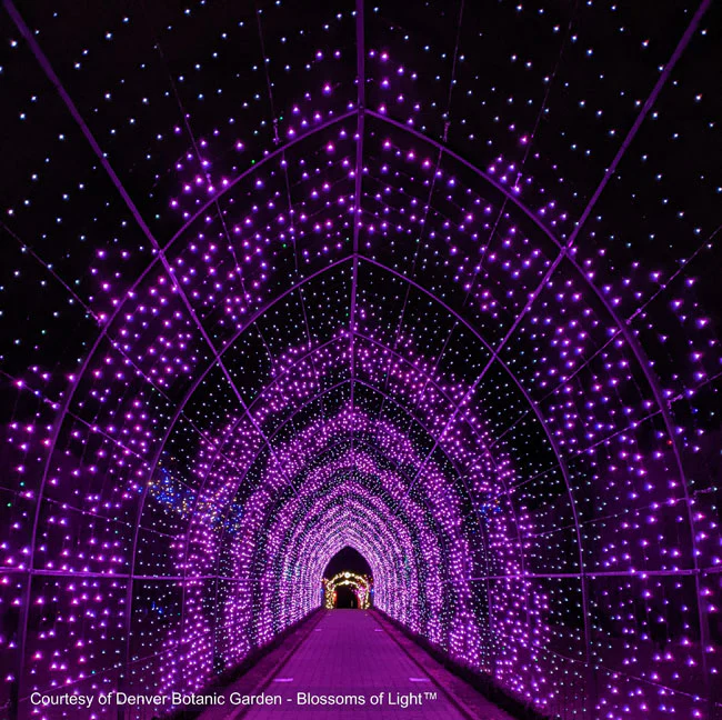 Cathedral Tunnel Structures - Image 5