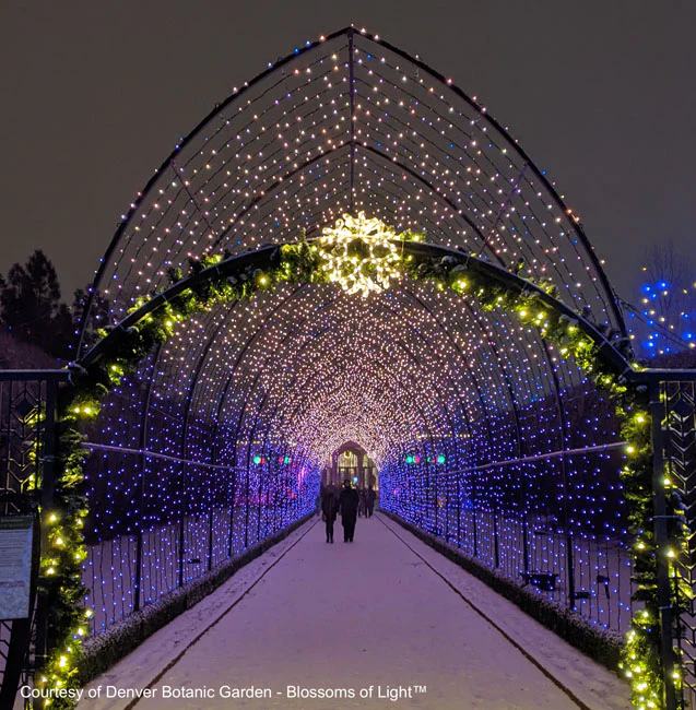Cathedral Tunnel Structures - Image 6