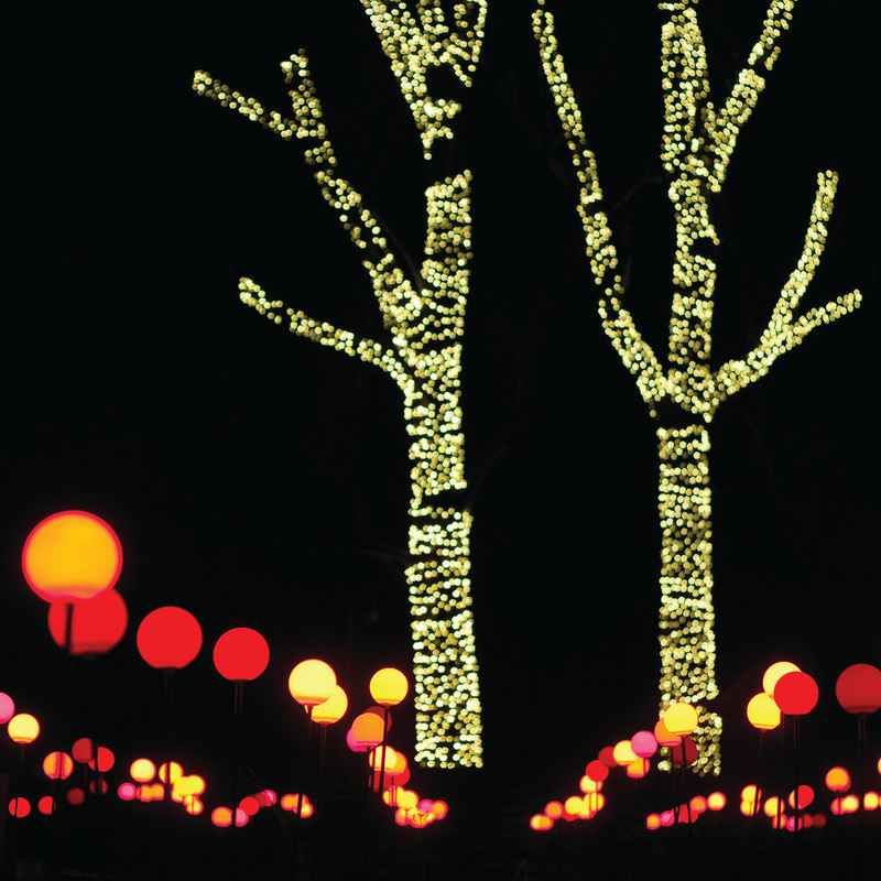 LED Color Blossom Light Stake - Image 4