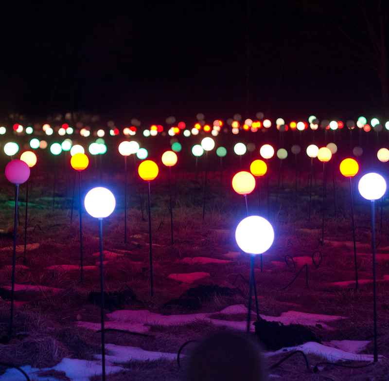 LED Color Blossom Light Stake - Image 5